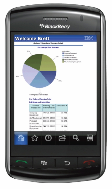 IBM Cognos 10